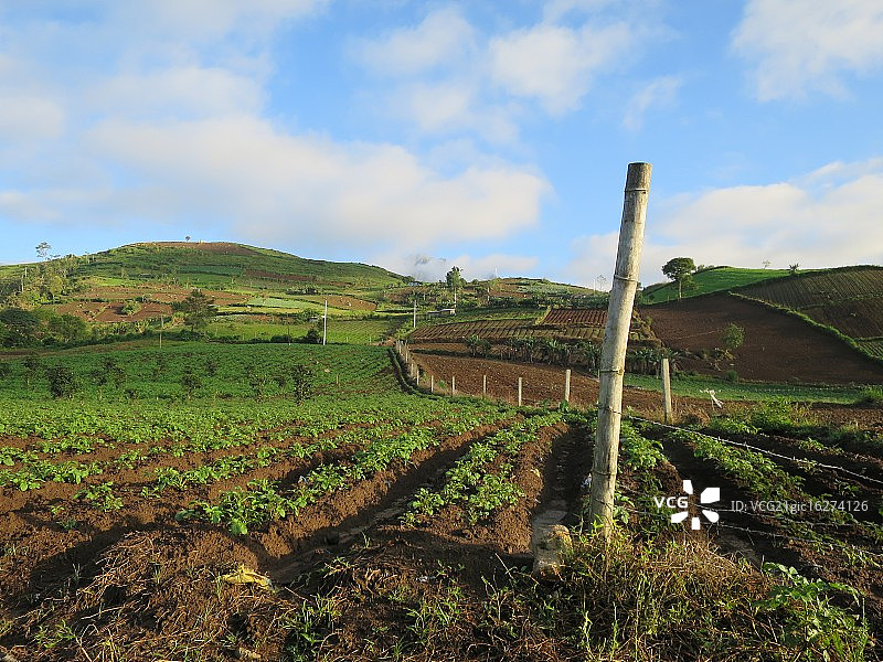 阿波山，达沃图片素材