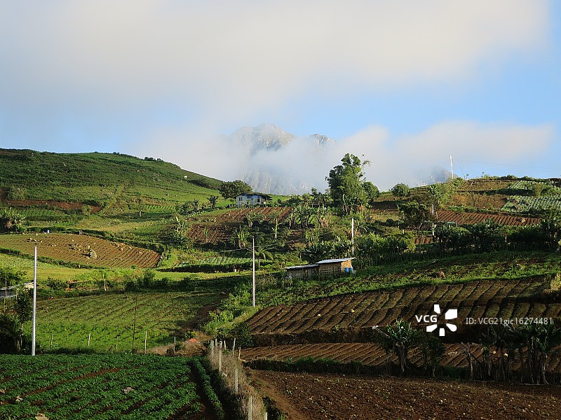 阿波山，达沃图片素材
