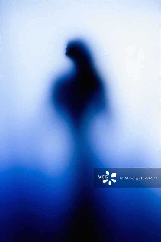 恩底弥翁二号图片素材