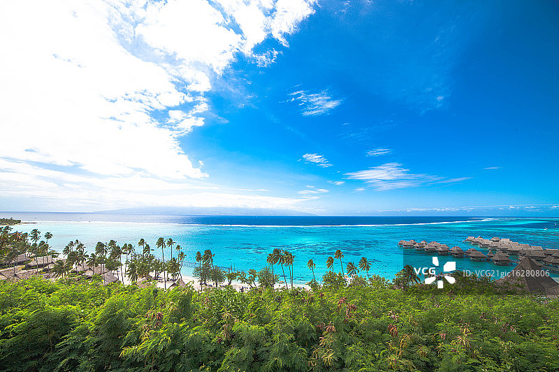 茉莉雅图片素材