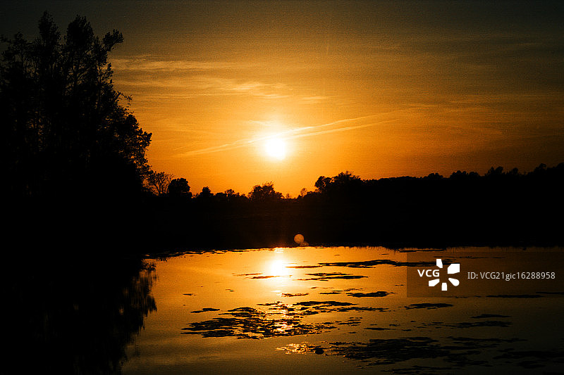 橙色池塘图片素材