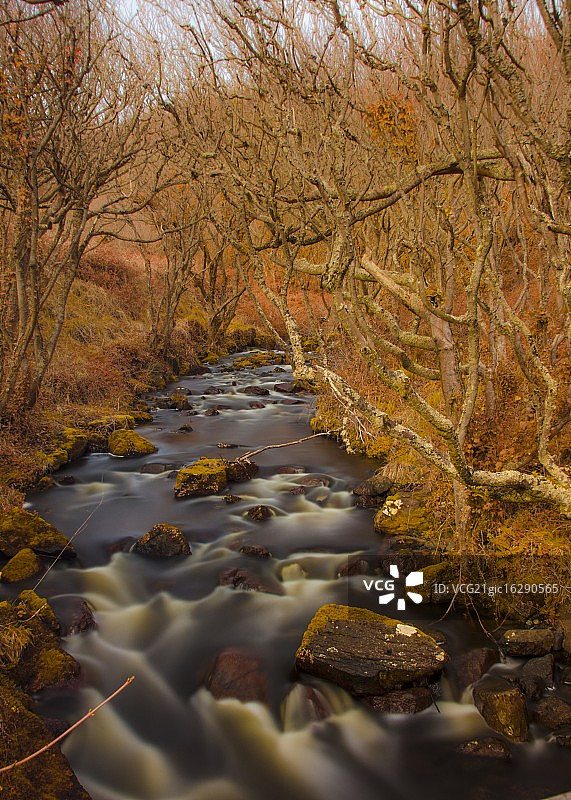 波尔特斯科溪流图片素材