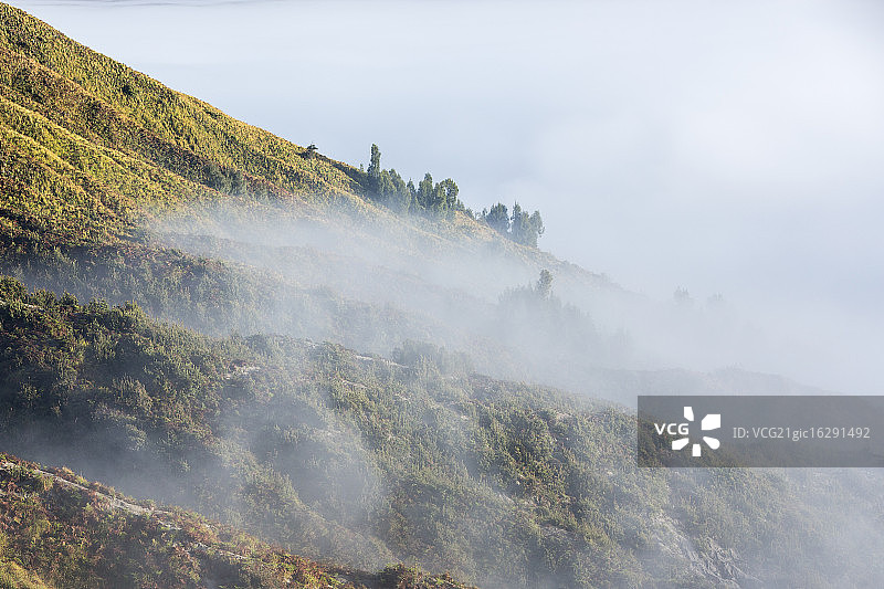 式化溴图片素材