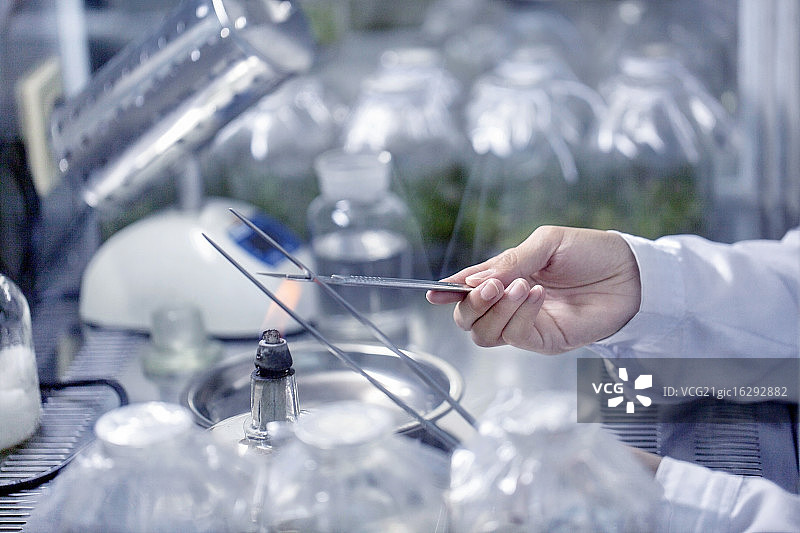 正在做实验的手图片素材
