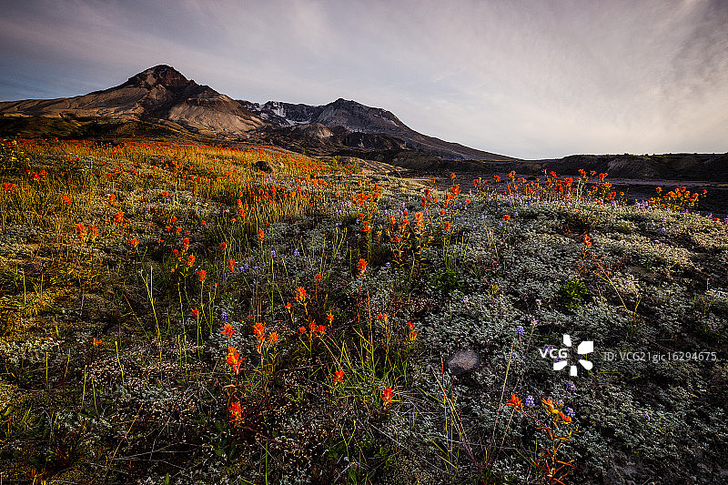 圣海伦斯山图片素材