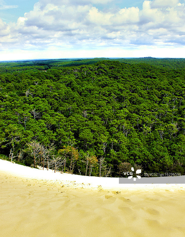 皮拉沙丘图片素材