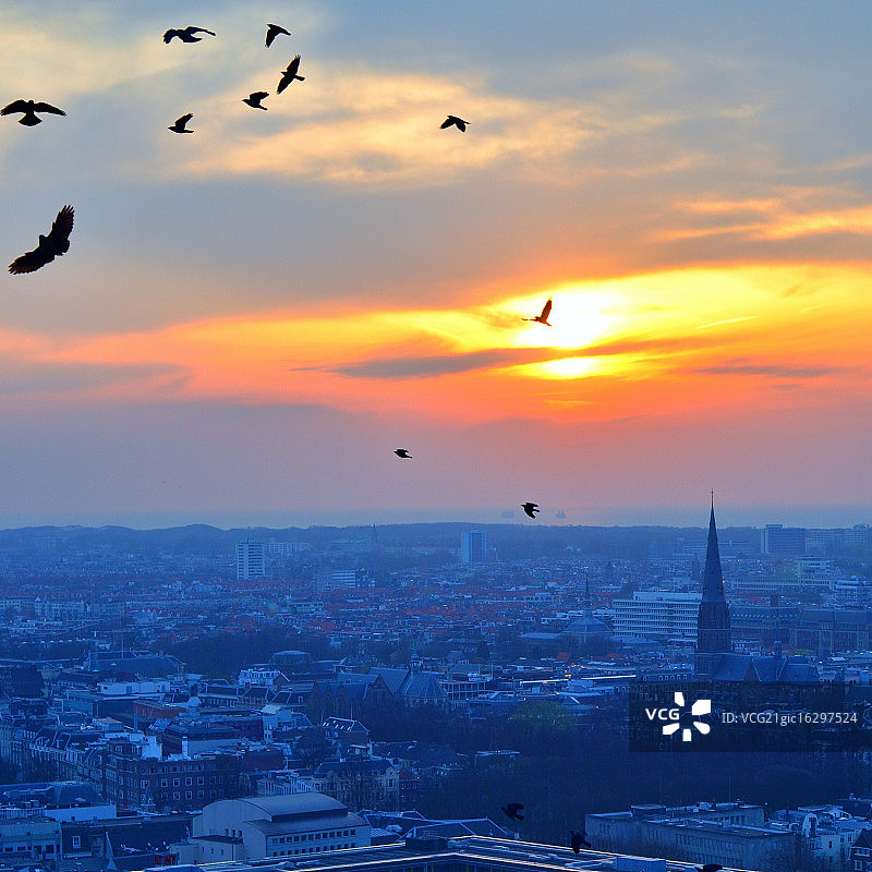 海牙的日落与乌鸦图片素材