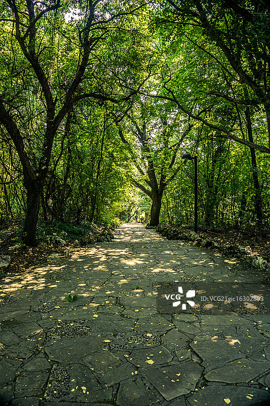 唯一途径图片素材