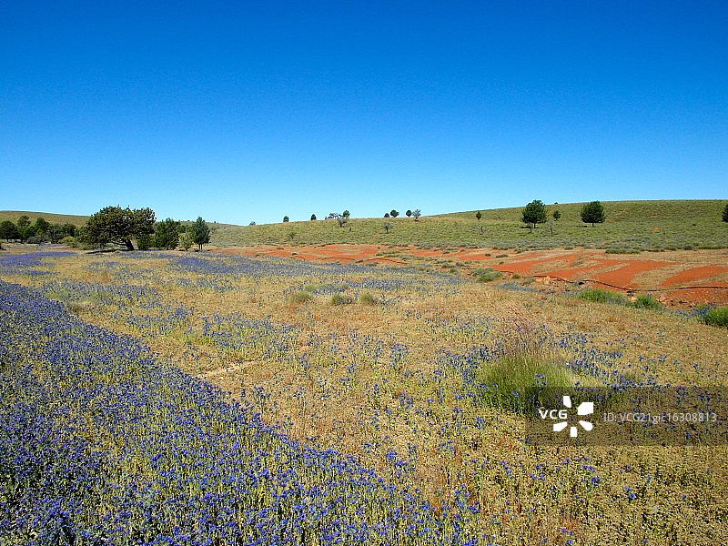 弗林德斯山脉图片素材