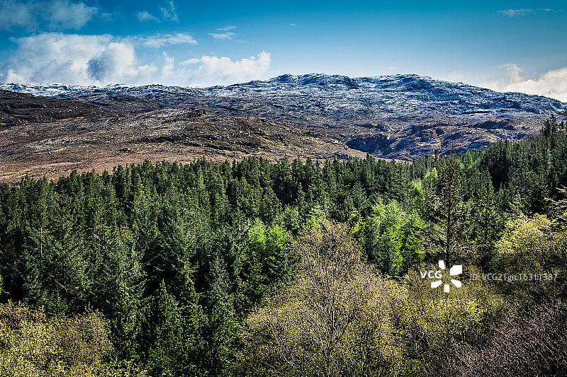 英国苏格兰萨瑟兰郡森林与丘陵图片素材