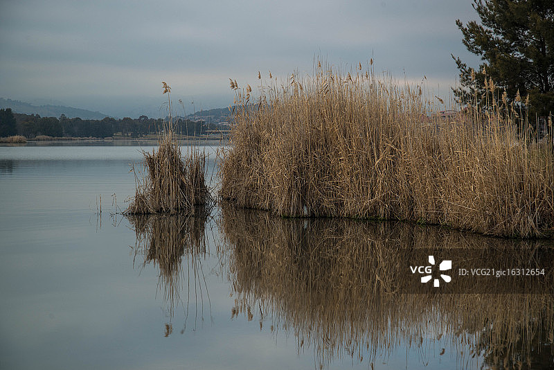 冬季的堪培拉图片素材