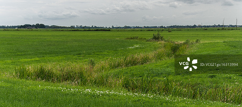 弗里斯兰图片素材