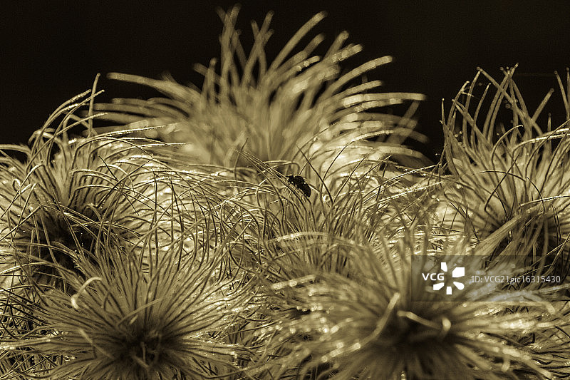 独自一人图片素材