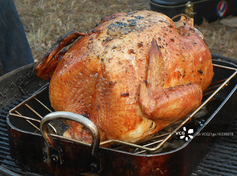 烧烤火鸡图片素材