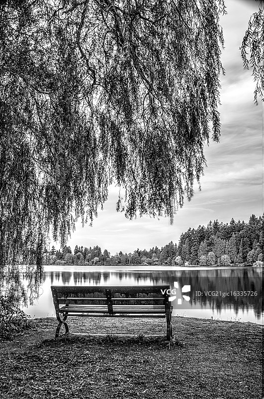 斯坦利公园图片素材