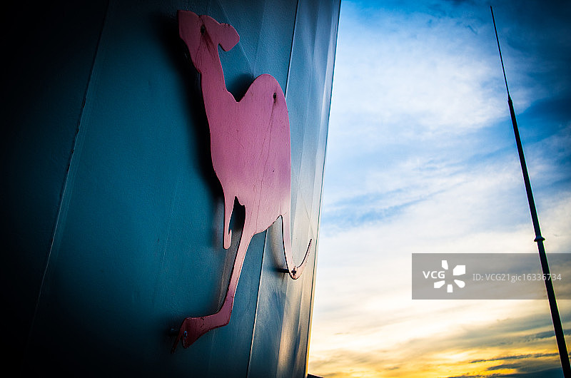 红袋鼠图片素材