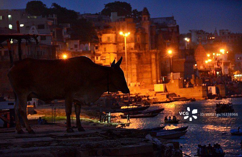 瓦拉纳西图片素材