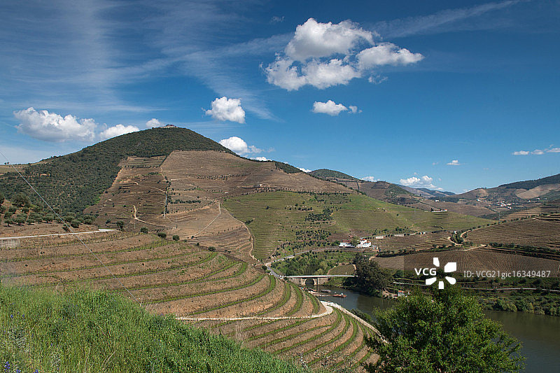 杜罗河风光图片素材