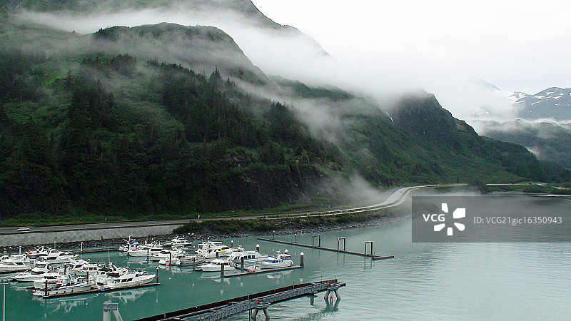 阿拉斯加惠蒂尔图片素材