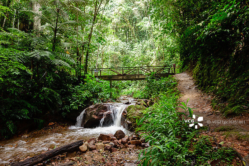 塞尔瓦图片素材