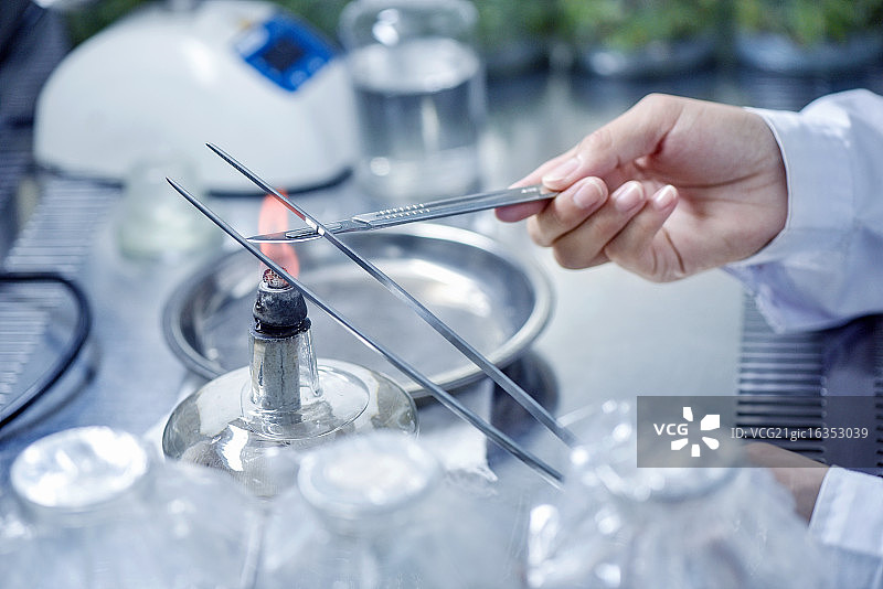 正在做实验的手图片素材
