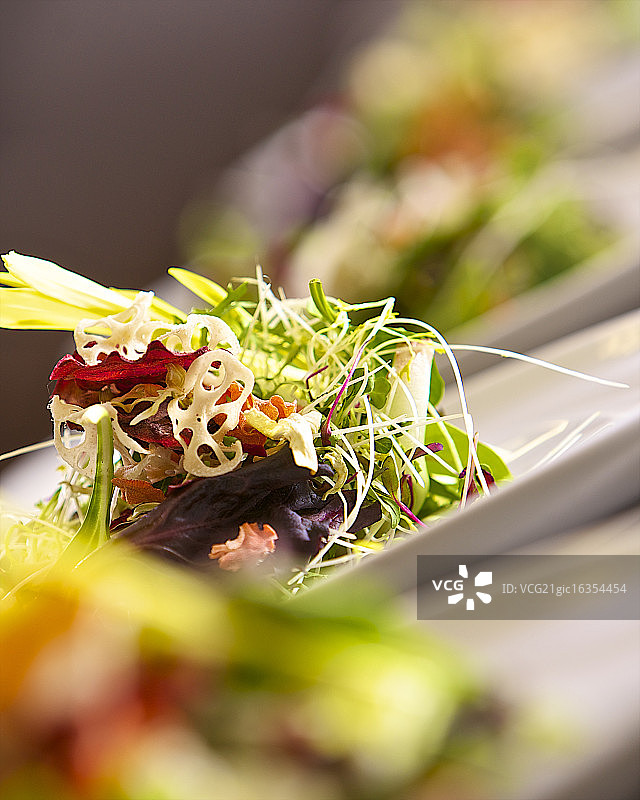 混合沙拉图片素材