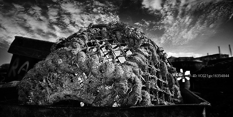 黑白龙虾锅图片素材