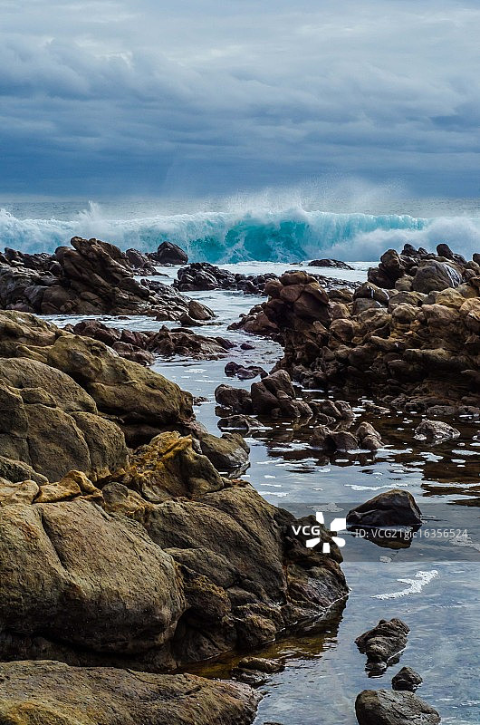 亚林加普西澳大利亚图片素材