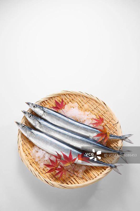 秋刀鱼图片素材