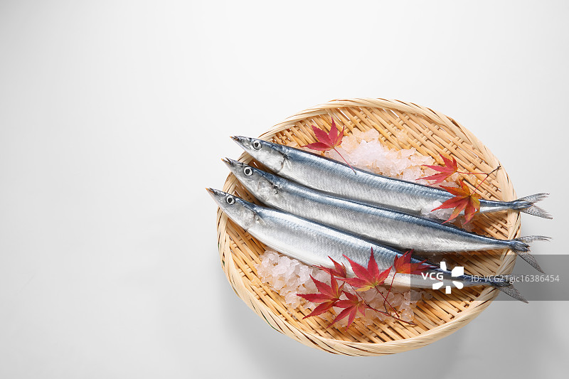 秋刀鱼图片素材