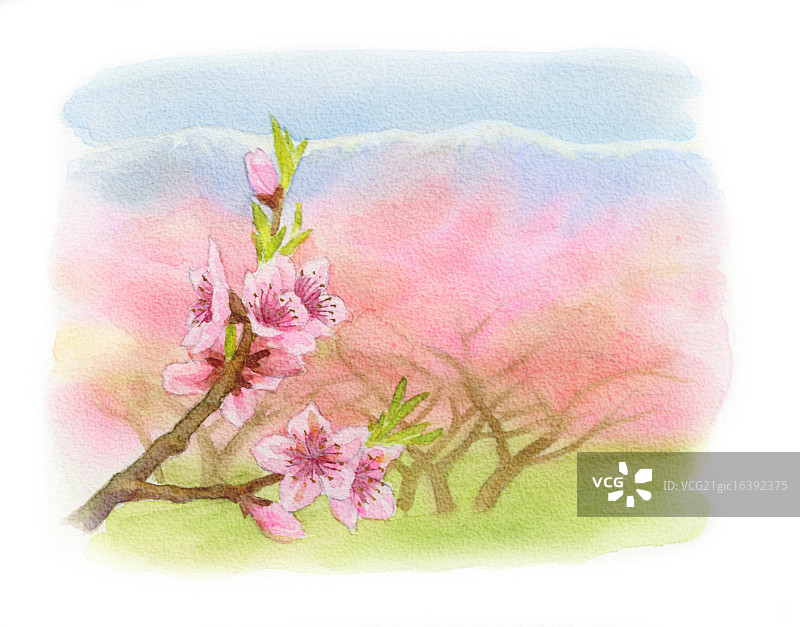 水彩插图图片素材