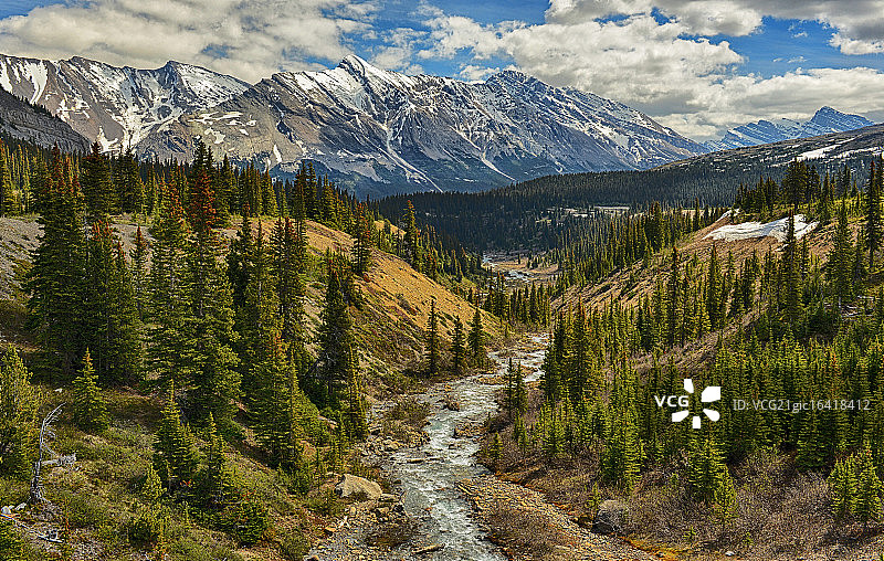 落基山脉的春天图片素材