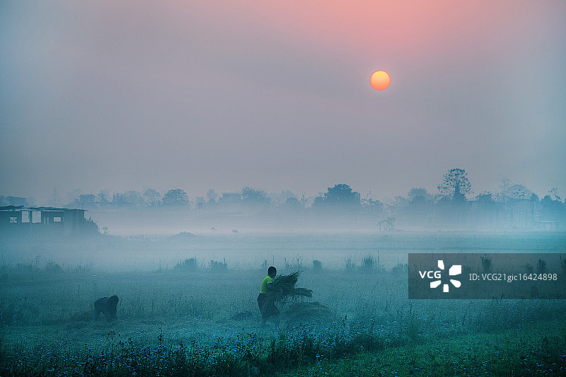 尼泊尔南部奇特旺的田园风光图片素材