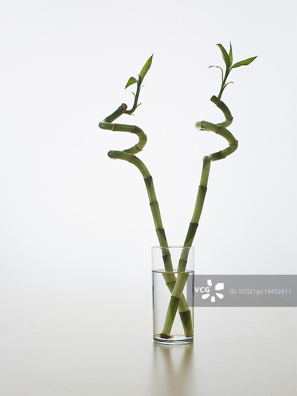 玻璃杯中的竹竿图片素材