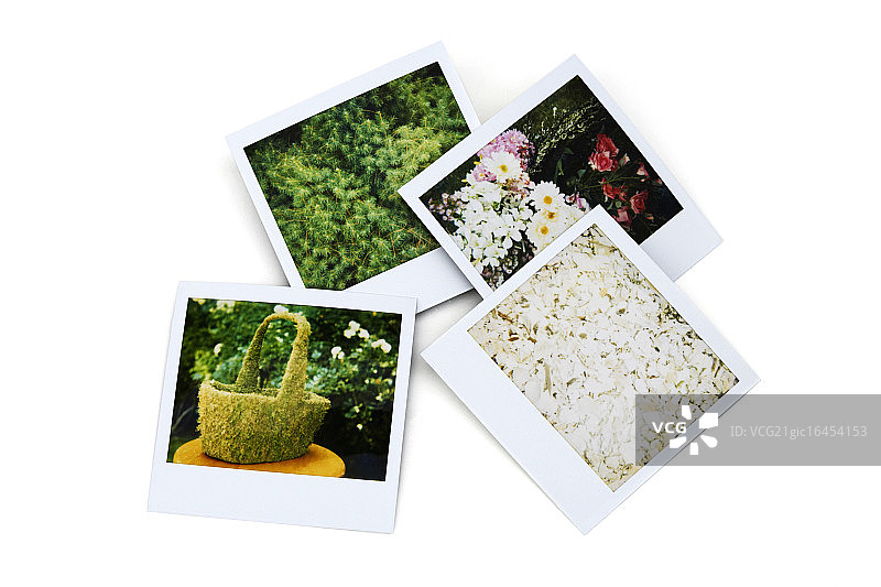 宝丽来照片图片素材