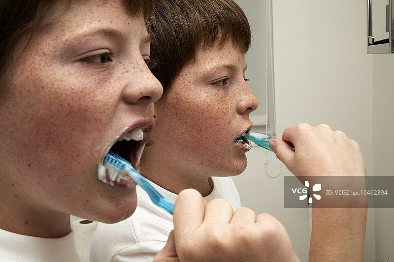 刷牙的青春期双胞胎男孩图片素材
