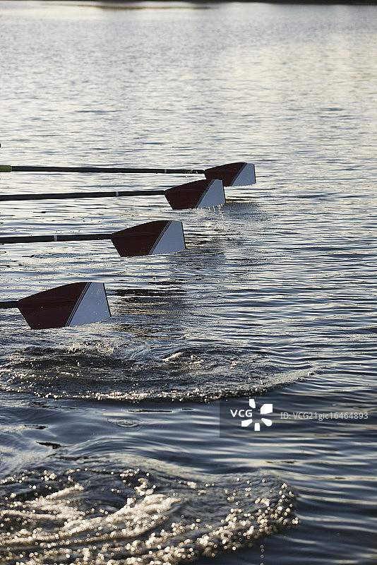 赛艇队船桨图片素材