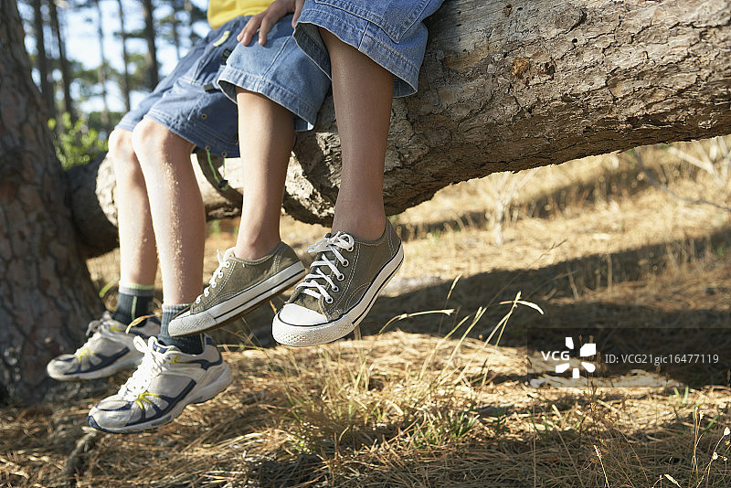 朋友们坐在倒下的树上，晃着脚图片素材