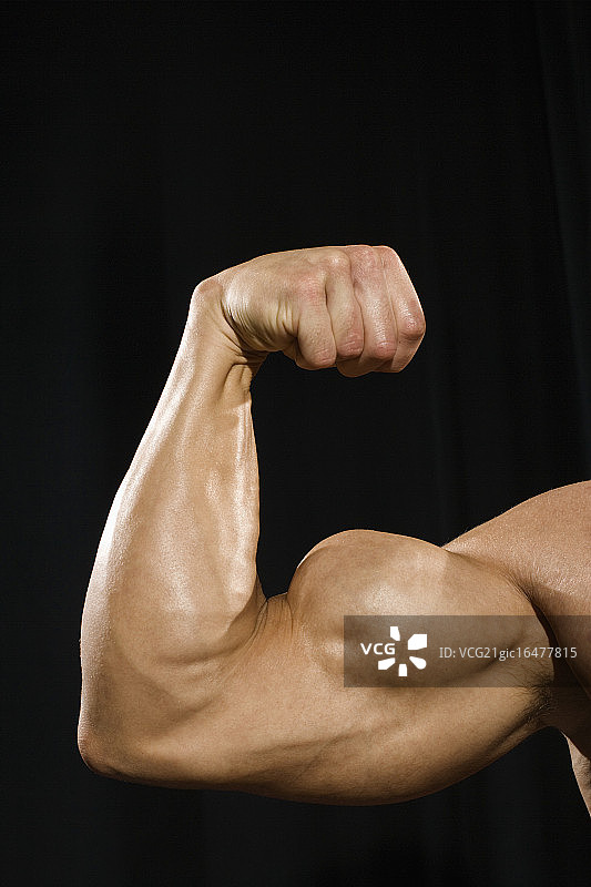 屈肌肱二头肌图片素材