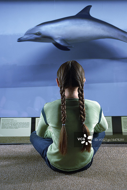 在博物馆参观的女孩图片素材