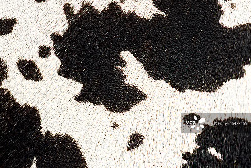 牛毛皮图片素材