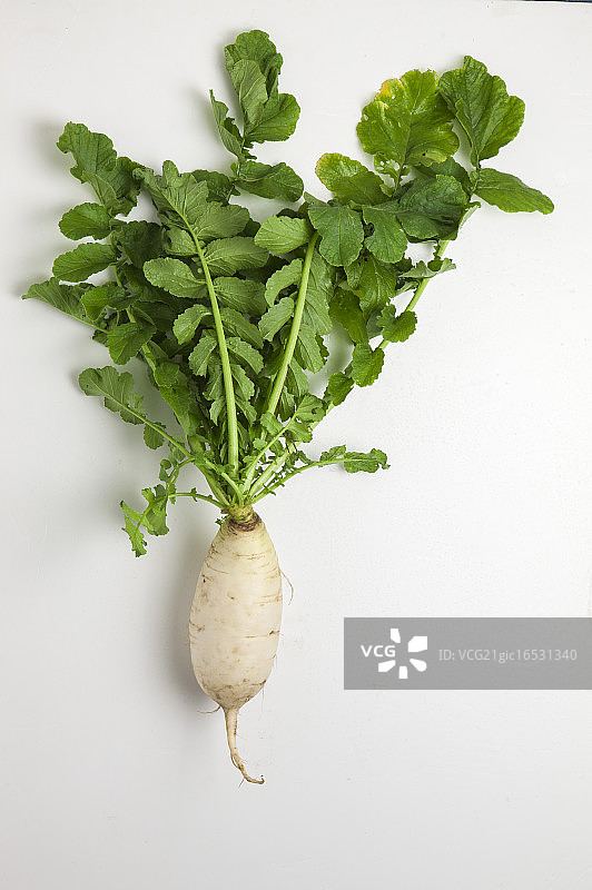 萝卜,蔬菜,图片素材