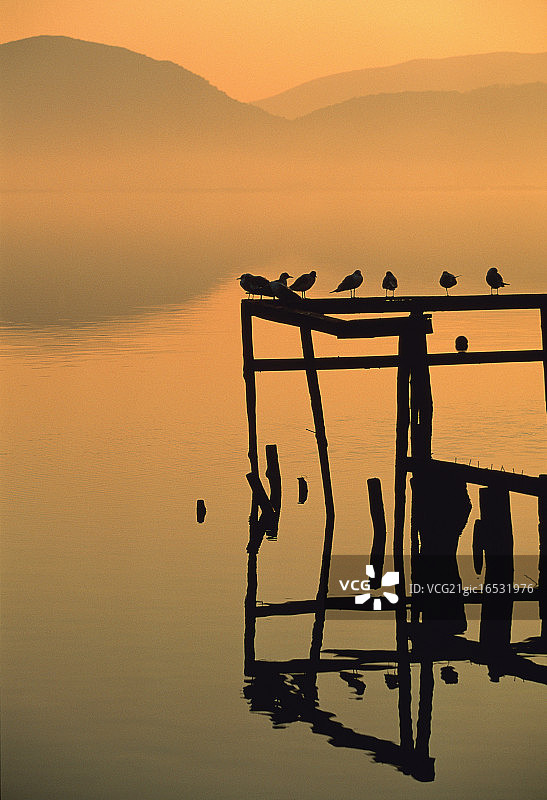 日落时分停留在码头上的小鸟，意大利托斯卡纳图片素材