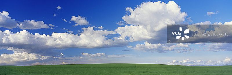 绿色麦田上空的云朵图片素材