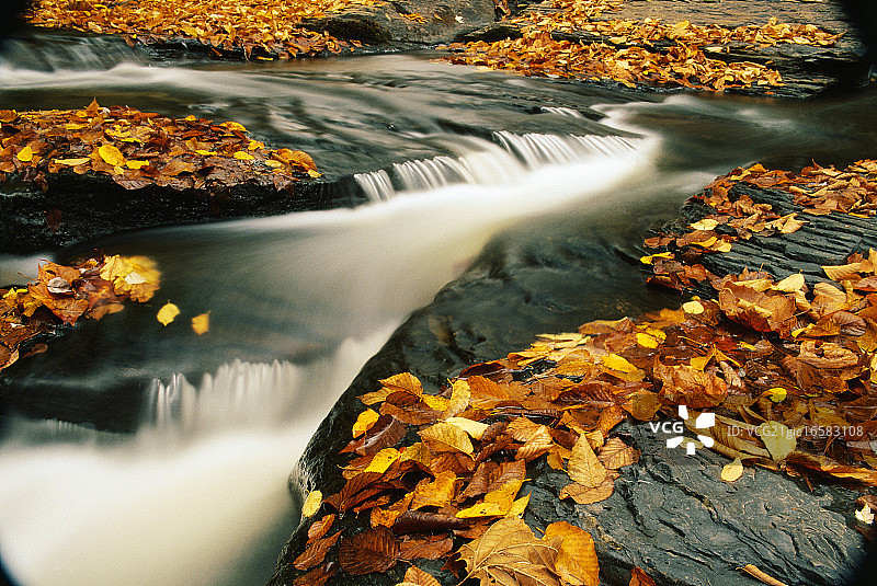 葛莱德溪瀑布秋景图片素材