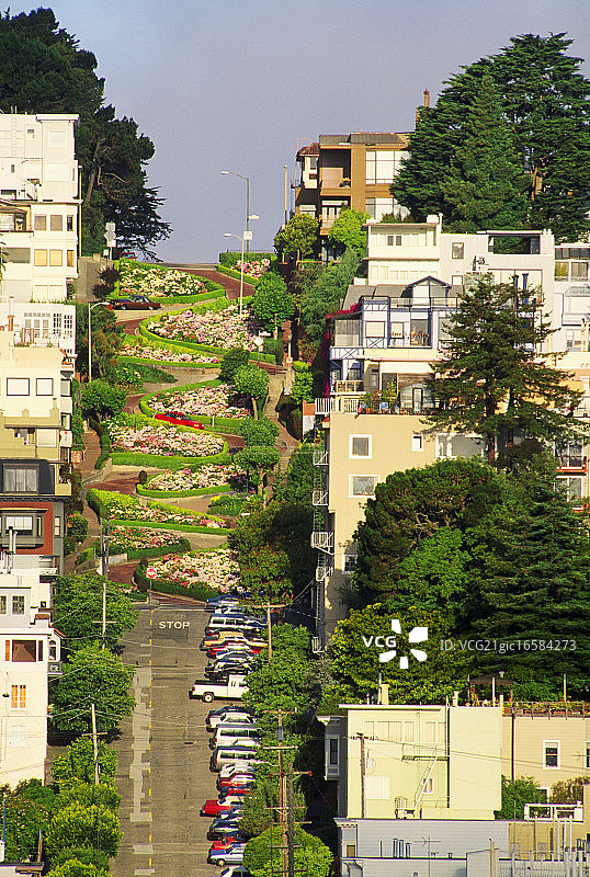 旧金山图片素材