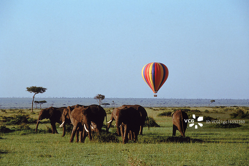 非洲平原上的热气球之旅图片素材