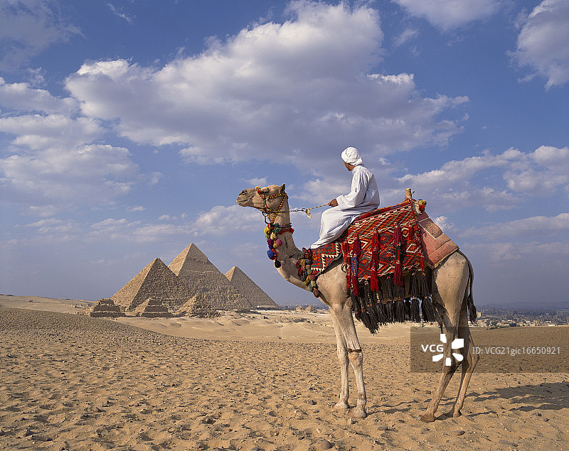 在开罗附近金字塔骑骆驼的阿拉伯人图片素材