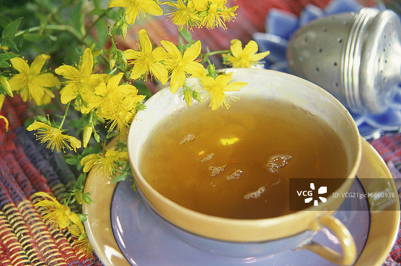 茶与贯叶连翘植物图片素材