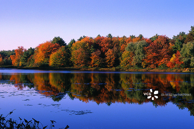 瓦尔登湖畔秋树图片素材